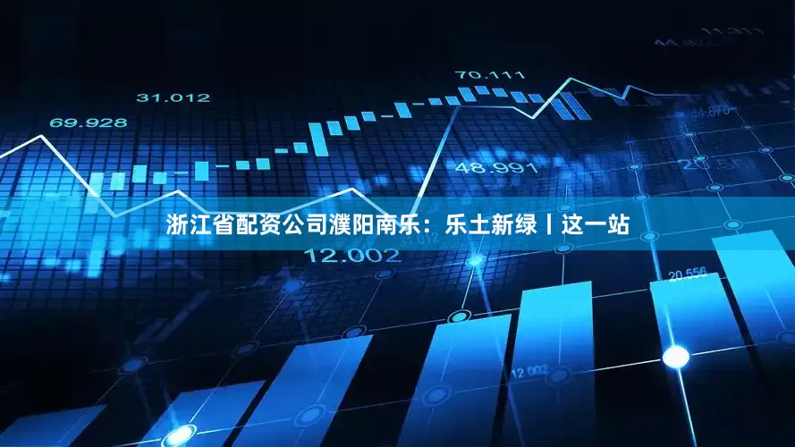 浙江省配资公司濮阳南乐：乐土新绿丨这一站