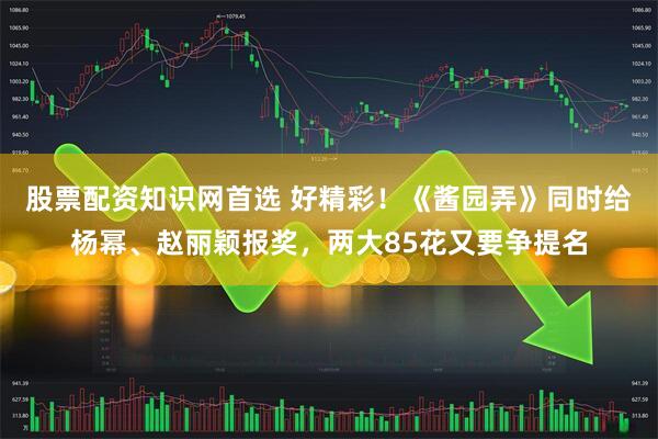 股票配资知识网首选 好精彩！《酱园弄》同时给杨幂、赵丽颖报奖，两大85花又要争提名